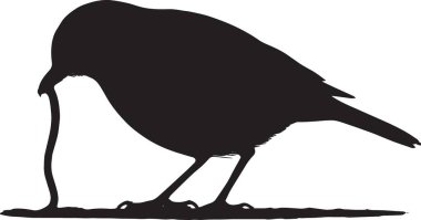 Bir karga ya da kuzgunun siyah silueti ayrıntılı tüylerle ayakta duruyor. Gotik ve karanlık temalı tasarımlar için ideal.