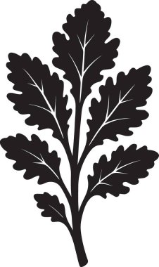 Bir meşe ağacı dalının siyah vektör silueti.