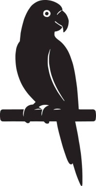 Bir dalın üzerine tünemiş bir papağan kuşunun siyah silueti tropikal vahşi yaşam ve egzotik hayvan temalı tasarımlar için idealdir.