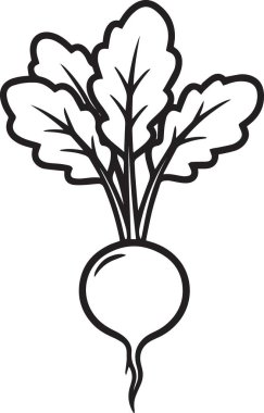 Büyük bir şalgam ya da pancar kökü kökü ve yapraklı bir sebzenin siyah ve beyaz vektör silueti