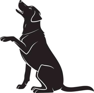 Köpek bakıcılığı ve siluet tasarımı