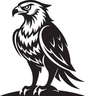 Görkemli kartal ya da yırtıcı siluetin şahin kuşu profilinde