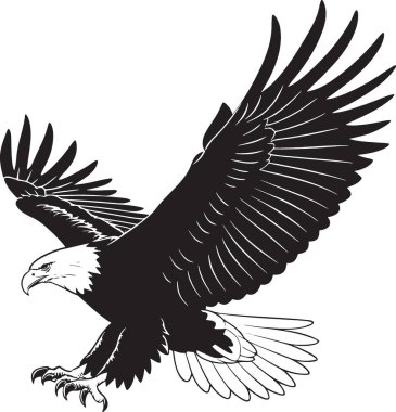 Görkemli kel kartal açık kanatlı silueti ile uçuyor.