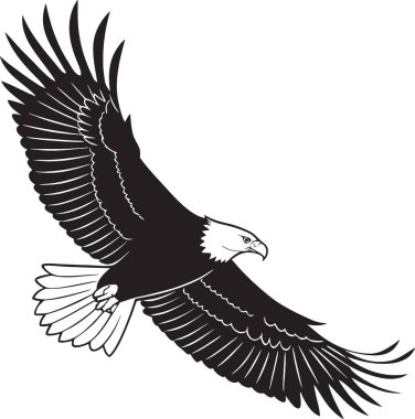 Uçuşun ortasında kanatları açık ve kuyruğu açık kel bir kartal.