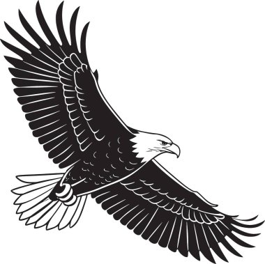 Kel kartal muhteşem bir pozla kanatları açık uçuyor.