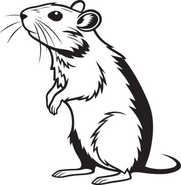 Fare ya da fare silueti arka ayaklarının üzerinde dikiliyor.