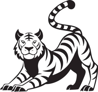 Eğilen kaplan oyuncu ya da avcı poz verir