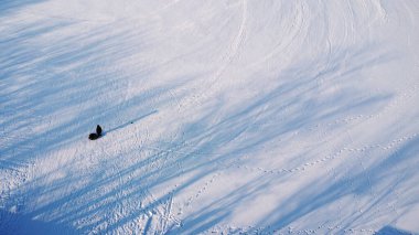 Tek Kişilik Kar Sahasında Kızak Çekerken Yüksek Açı Soyut Görünüm