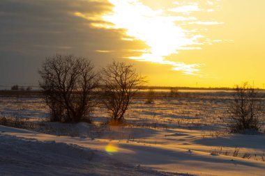 Siluetli Çıplak Ağaçlarla kaplı Karla kaplı Bir Arazide Altın Gün Batımı