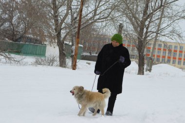Kara Kürklü Kıdemli Kadın Karlı Yol 'da Köpekle Yürüyor