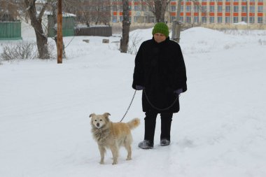 Kara Kürklü Kıdemli Kadın Karlı Yol 'da Köpekle Yürüyor