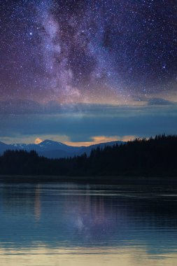 Galaksinin göl yansıması ve yıldızlı gece, telefon arkaplanı için dikey duvar kağıdı veya sosyal medya görsel, 3D illüstrasyon