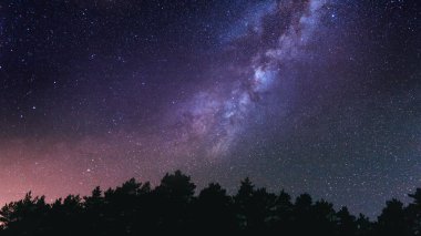 Geceleri orman tepe örtüsü üzerinde yıldızlar olan HD galaksi, masaüstü duvar kağıtları için sakin evren manzarası