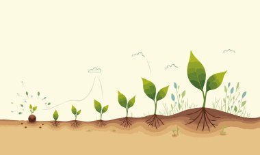 Bir Bitkinin Yaşam Döngüsü: Serene Dünya Tonu Büyüme ve Geliştirme İllüstrasyonu