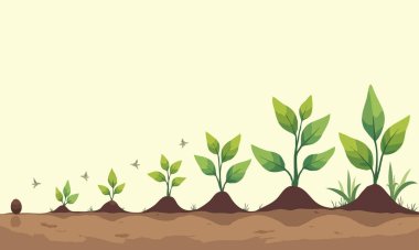 Bir Bitkinin Yaşam Döngüsü: Serene Dünya Tonu Büyüme ve Geliştirme İllüstrasyonu