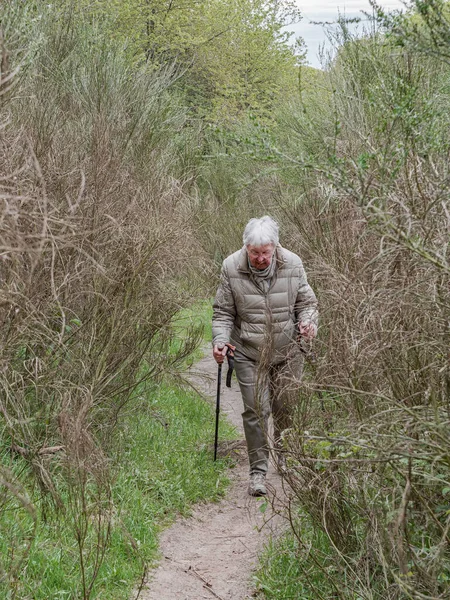 Kadın yüksek çalılarla çevrili bir patikada yürüyüş yapıyor. 