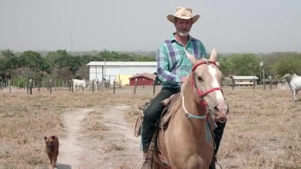 Cowboy Lovagol Lován Kutyájával Oldalán — Stock videók