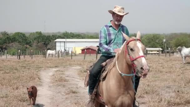 Slow Mit Cowboy Auf Seinem Pferd Und Hund Auf Der — Stockvideo