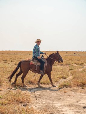 Kovboy atına biniyor Brezilya 'da bir sığır çiftliğinde ve çok kuru arazisi var.