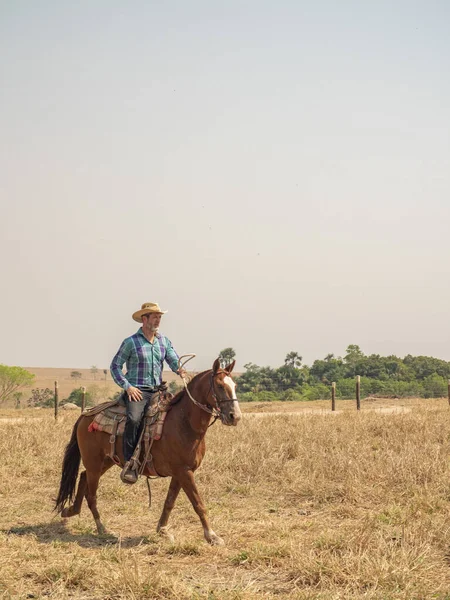 牛仔骑着他的马在巴西一个非常干燥的牧场上 — 图库照片