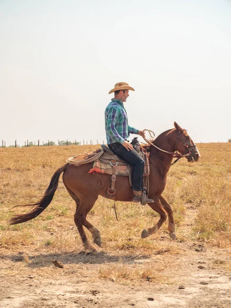 Vaquero Está Montando Caballo Una Granja Ganado Brasil Con Tierra —  Fotos de Stock