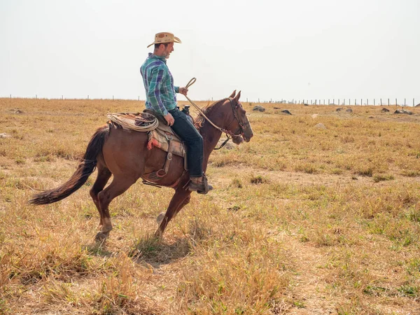 Vaquero Está Montando Caballo Una Granja Ganado Brasil Con Tierra —  Fotos de Stock