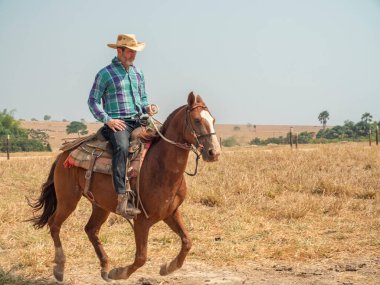 Kovboy atına biniyor Brezilya 'da bir sığır çiftliğinde ve çok kuru arazisi var.