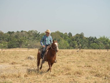 Kovboy atına biniyor Brezilya 'da bir sığır çiftliğinde ve çok kuru arazisi var.