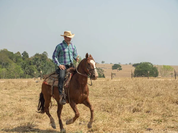 Cowboy is riding his horse on a cattle farm in Brazil with very dry land