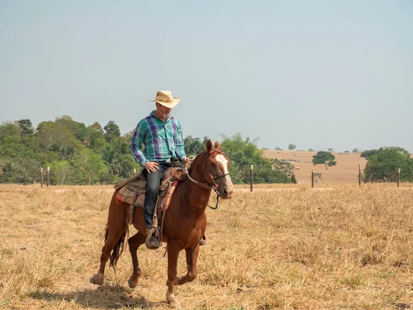 Vaquero Está Montando Caballo Una Granja Ganado Brasil Con Tierra —  Fotos de Stock