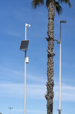 Gün ışığında yakalanan, palmiye ağacının yanında birden fazla gözetleme birimi bulunan bir trafik kamerası direğinin olduğu şehir manzarası. Akıllı şehirler, güvenlik ve kentsel altyapı temaları için uygundur.