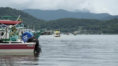 4K Paraty Körfezi manzaralı, demirli tekneler ve hareket halindeki bir turist teknesi. Körfez Atlantik Ormanı ve dağlar tarafından çerçevelenmiş ve doğal güzellikleri ön plana çıkarıyor..