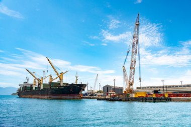 Angra dos Reis, Brezilya 14 Ocak 2026: Rıhtım boyunca ve Angra dos Reis 'teki konteyner terminalinde uzun bir vinç yanında vinçli bir konteynır bulunmaktadır.