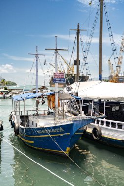 Angra dos Reis, Brezilya 14 Ocak 2026: Brezilya 'nın Angra dos Reis şehrinde sakin bir tropikal marinada renkli bir tur botu. Özellikler turkuaz suları ve tropikal marina atmosferini sakinleştirir
