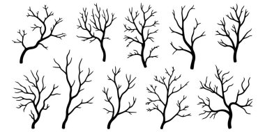 Çıplak kış dalları ve organik şekilli siyah ağaç dalları koleksiyonu mevsimsel tasarımlar, orman temaları, botanik desenler, logolar, duvar sanatı ve modern grafik altyapısı için ideal minimalist doğa çizimi