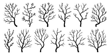 Doğal ağaç dalları ve soyut botanik şekiller olarak sıralanmış minimalist siyah mercan dalları koleksiyonu, doğa geçmişi için ideal, denizden esinlenilmiş tasarımlar, desenler ve yaratıcı çizimler