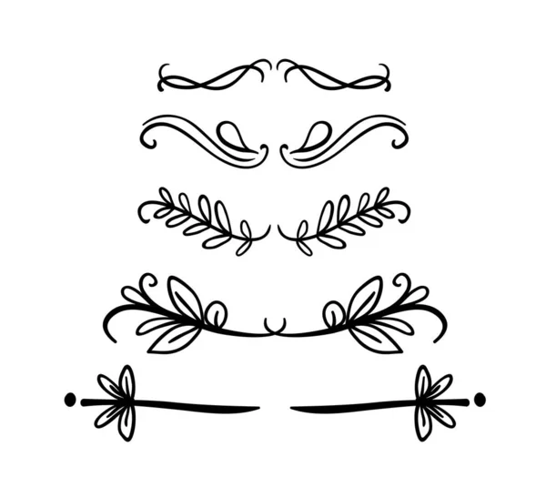 Süslemeli kaligrafik elementler kümesi vektörü