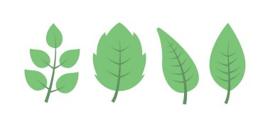 Beyaz zemin üzerine yeşil yaprakların ayarla