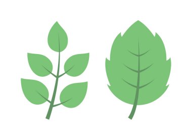 Beyaz zemin üzerine yeşil yaprakların ayarla