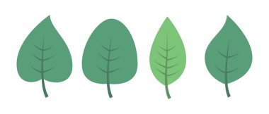 Beyaz zemin üzerine yeşil yaprakların ayarla