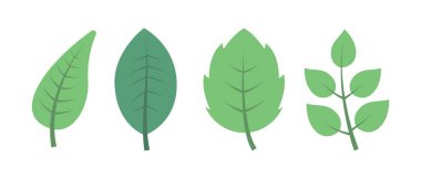 Beyaz zemin üzerine yeşil yaprakların ayarla