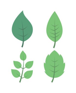 Beyaz zemin üzerine yeşil yaprakların ayarla