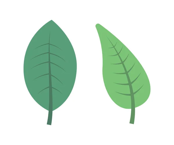 Beyaz zemin üzerine yeşil yaprakların ayarla