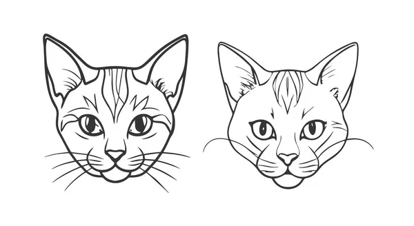 Kedi başları seti, siyah beyaz renkler..