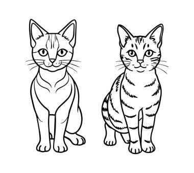 Kediler beyaz arkaplanda izole edilmiş