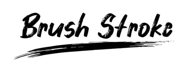 Fırça darbeleri. Vektör fırça takımı.