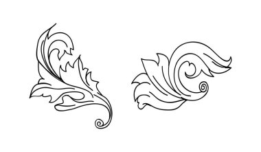 Klasik barok kabartma çiçek tomarı süsü. Girdap yaprağı süsü, çerçeve yaprağı, çiçekli yaprak seti..