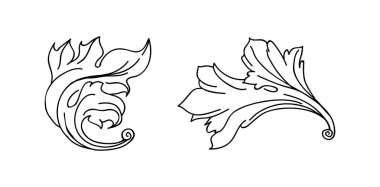 Klasik barok kabartma çiçek tomarı süsü. Girdap yaprağı süsü, çerçeve yaprağı, çiçekli yaprak seti..