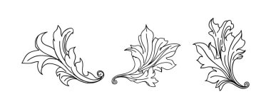 Klasik barok kabartma çiçek tomarı süsü. Girdap yaprağı süsü, çerçeve yaprağı, çiçekli yaprak seti..