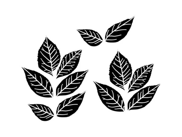 sonbahar yapraklı vektör deseni